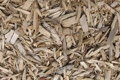 biomass boilers Bishops Wood